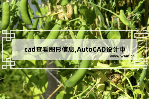 cad查看图形信息,AutoCAD设计中心所参考的图形文件