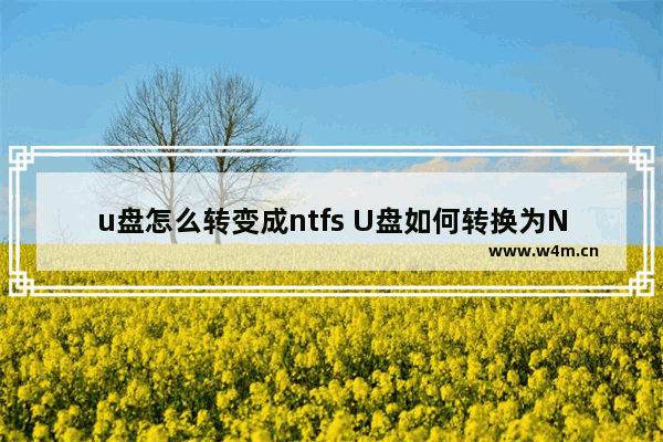 u盘怎么转变成ntfs U盘如何转换为NTFS格式