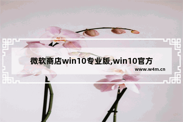 微软商店win10专业版,win10官方商店