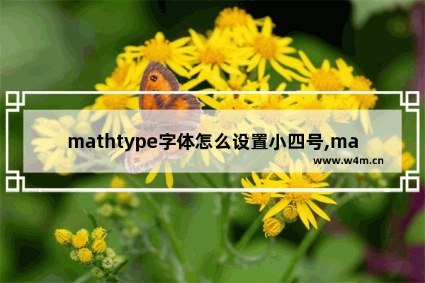 mathtype字体怎么设置小四号,mathtype公式怎么统一改字体大小