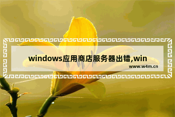 windows应用商店服务器出错,windows应用商店无法使用