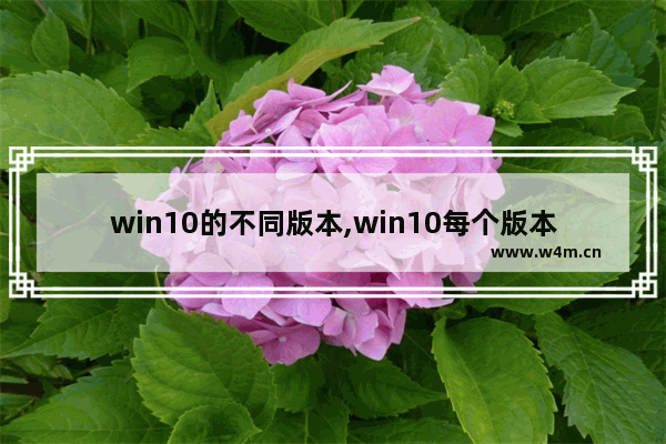 win10的不同版本,win10每个版本的区别