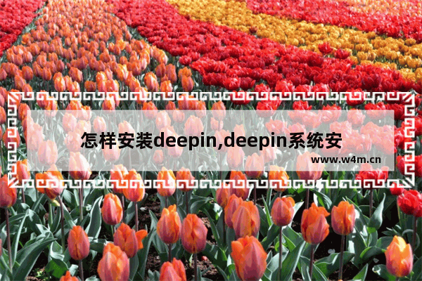 怎样安装deepin,deepin系统安装步骤_1