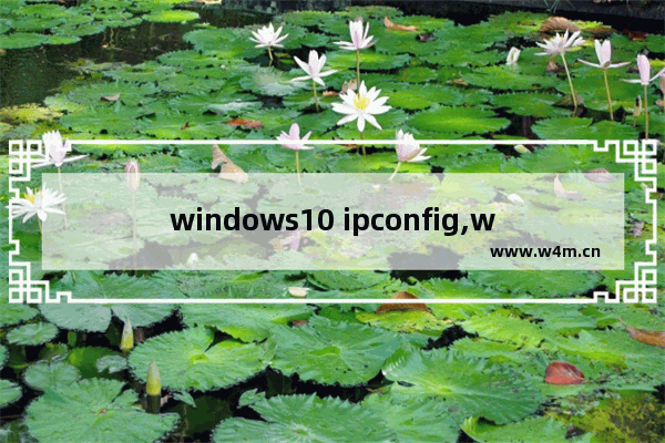 windows10 ipconfig,windows ipconfig命令