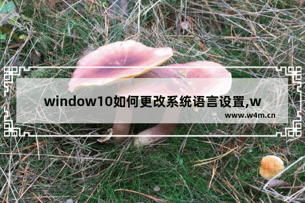 window10如何更改系统语言设置,windows区域和语言设置