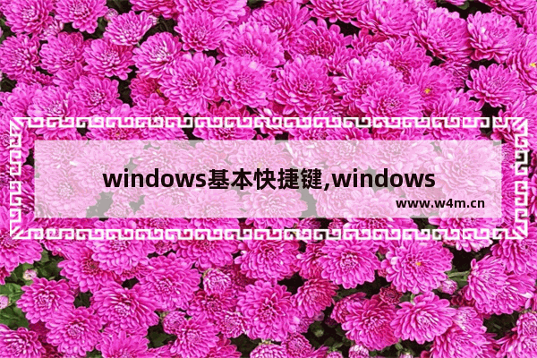 windows基本快捷键,windows中常用的快捷键