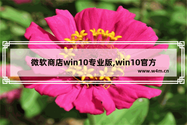 微软商店win10专业版,win10官方商店