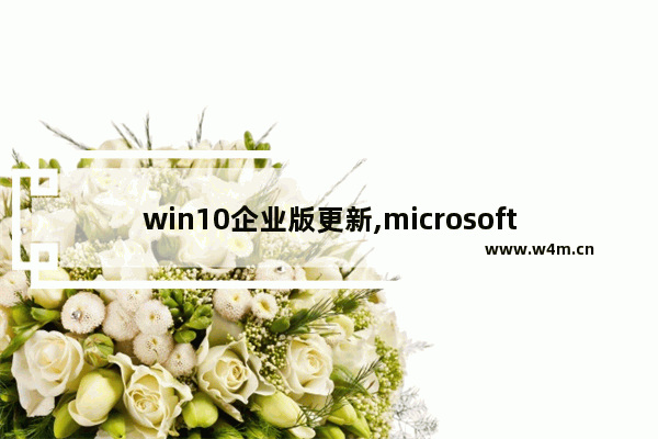 win10企业版更新,microsoft windows更新