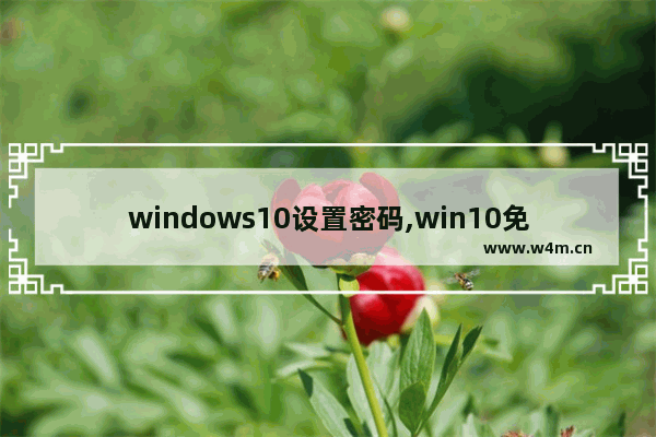 windows10设置密码,win10免密码登陆