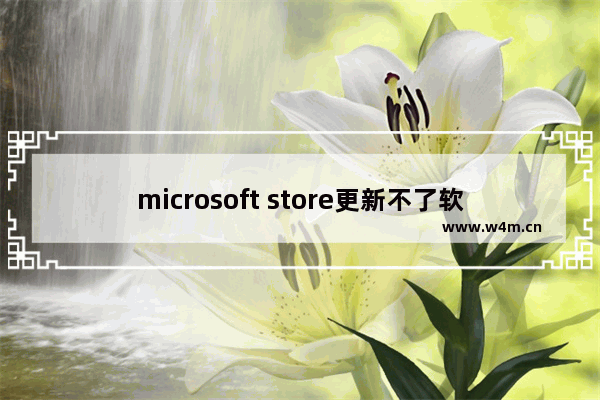 microsoft store更新不了软件,microsoft store下载不了应用