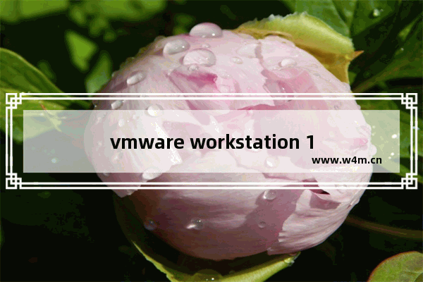 vmware workstation 16安装教程,vmware workstation安装win11