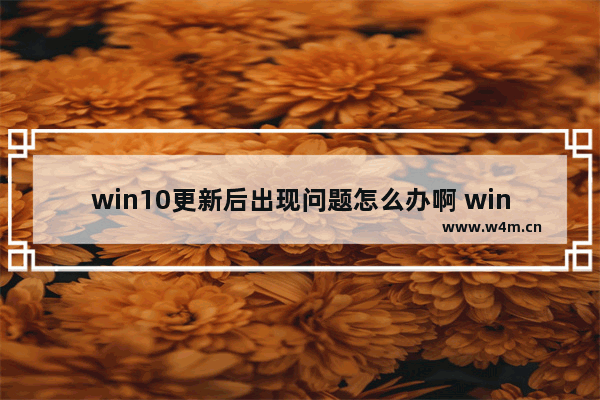 win10更新后出现问题怎么办啊 win10更新后出现问题解决方法