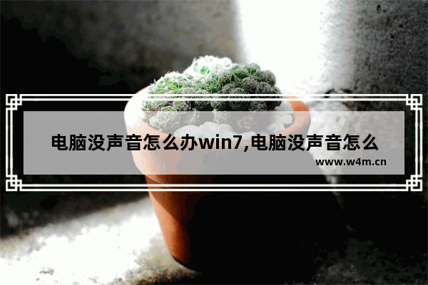 电脑没声音怎么办win7,电脑没声音怎么办-