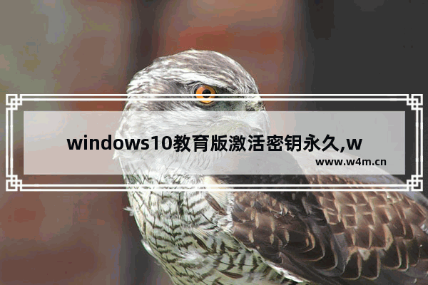 windows10教育版激活密钥永久,win10教育版激活密钥最新