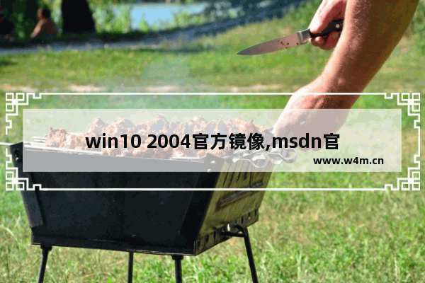 win10 2004官方镜像,msdn官网下载win10镜像怎么用