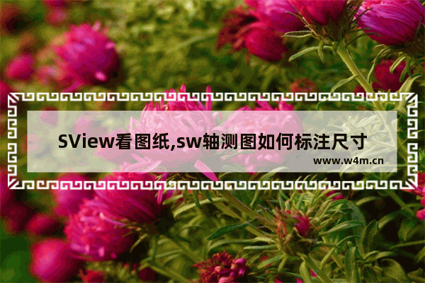 SView看图纸,sw轴测图如何标注尺寸