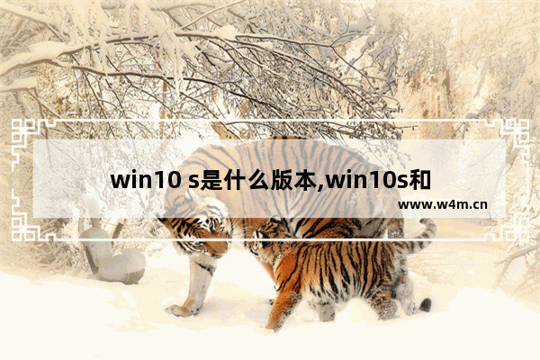 win10 s是什么版本,win10s和专业版区别