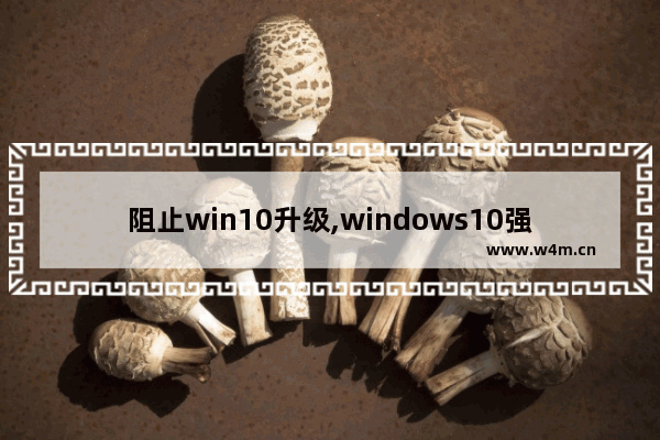 阻止win10升级,windows10强制升级