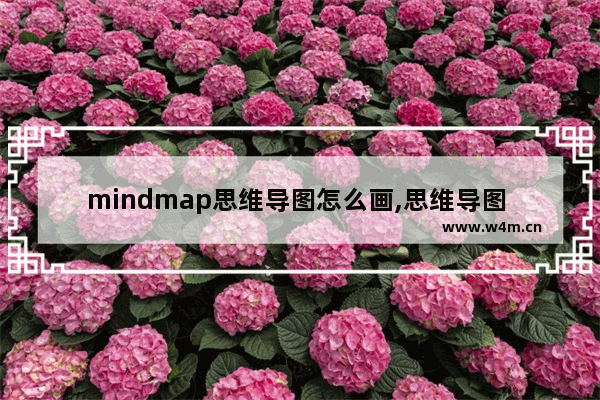 mindmap思维导图怎么画,思维导图 树状