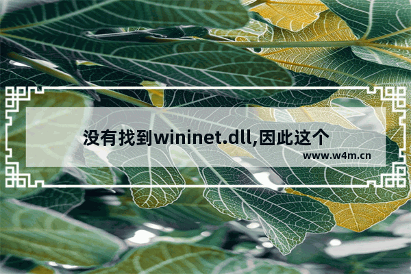 没有找到wininet.dll,因此这个程序未能启动,计算机丢失wininet.dll文件