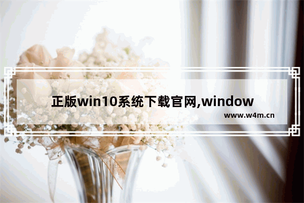 正版win10系统下载官网,windows10系统正版下载