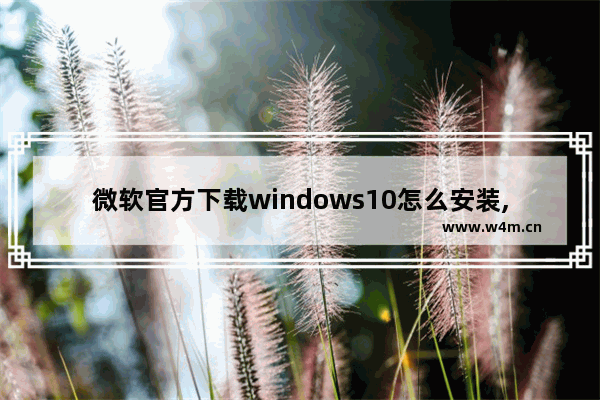 微软官方下载windows10怎么安装,微软官方下载的win10怎么安装