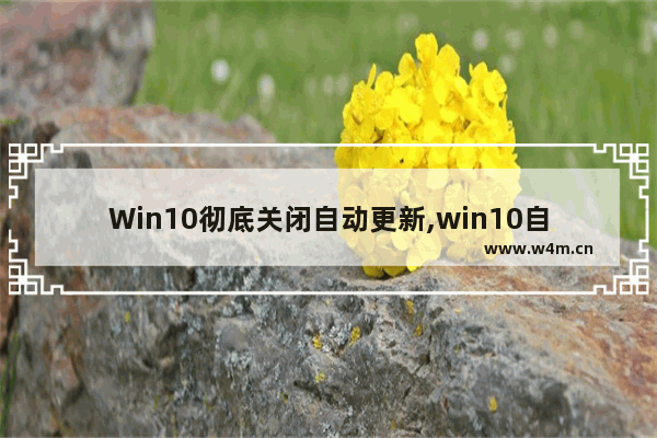 Win10彻底关闭自动更新,win10自动更新如何彻底关闭