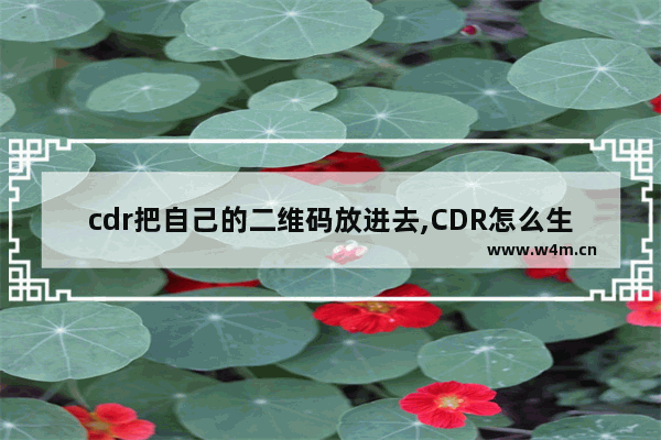 cdr把自己的二维码放进去,CDR怎么生成二维码