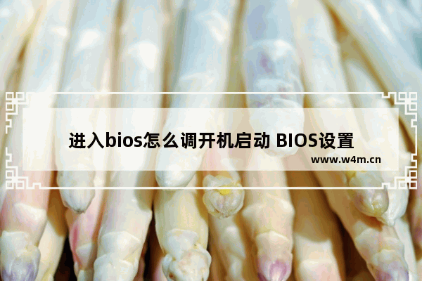 进入bios怎么调开机启动 BIOS设置：调整开机启动顺序