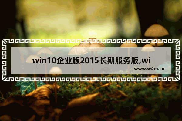 win10企业版2015长期服务版,windows 10企业版2016长期服务版