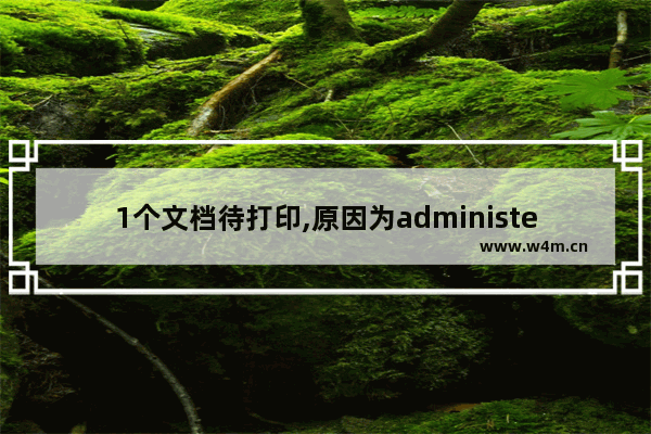 1个文档待打印,原因为administer,打印错误原因为administrator