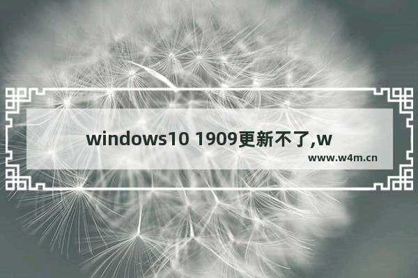 windows10 1909更新不了,win101903更新不了1909