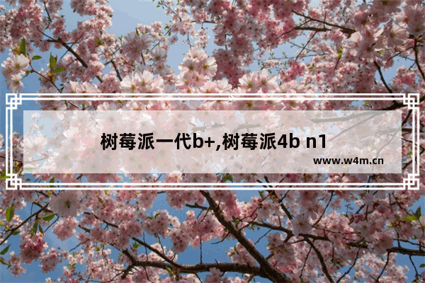 树莓派一代b+,树莓派4b n1