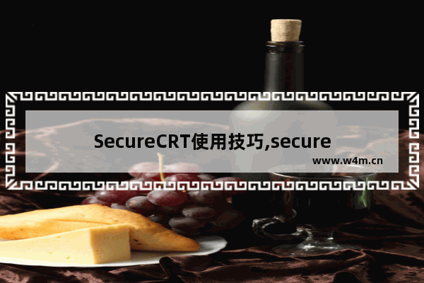 SecureCRT使用技巧,securecrt用法