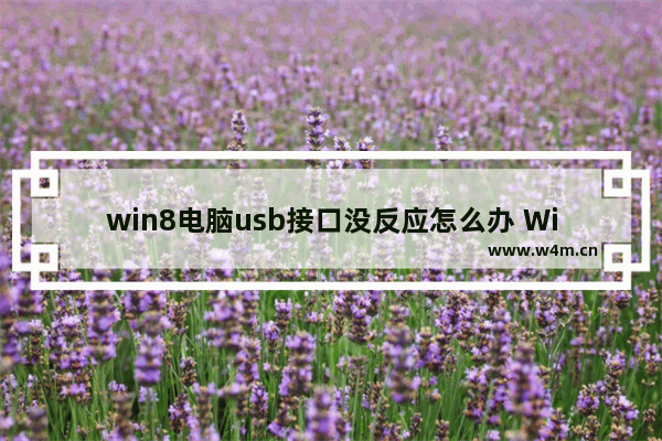 win8电脑usb接口没反应怎么办 Win8电脑USB无响应该怎么处理？