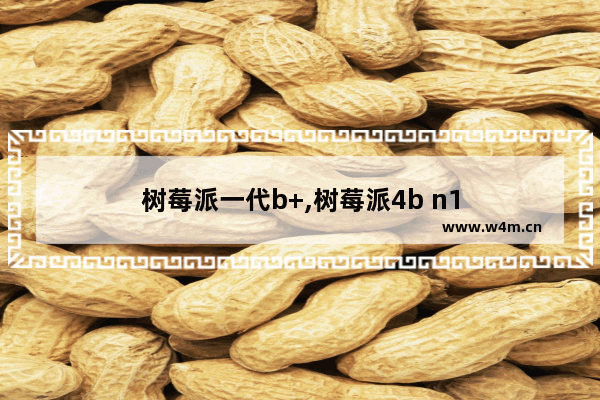 树莓派一代b+,树莓派4b n1