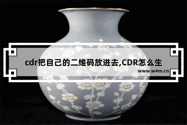 cdr把自己的二维码放进去,CDR怎么生成二维码