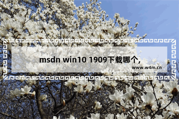 msdn win10 1909下载哪个,win10专业版1909激活