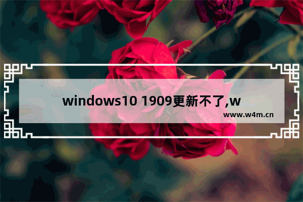 windows10 1909更新不了,win101903更新不了1909