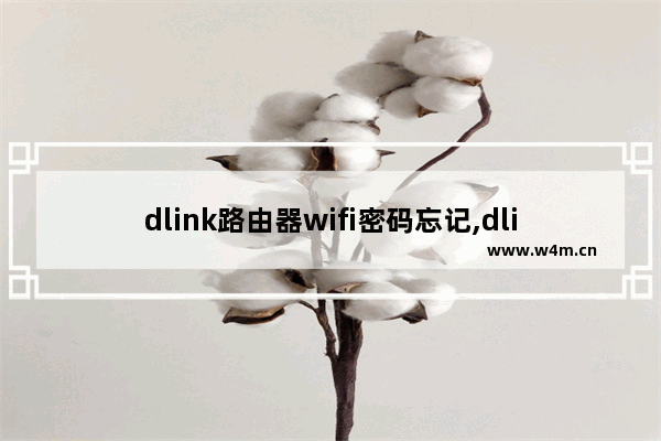 dlink路由器wifi密码忘记,dlink路由器默认密码