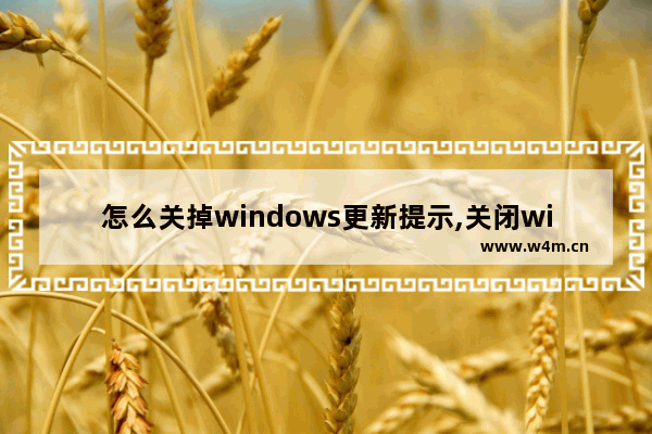 怎么关掉windows更新提示,关闭win7提示升级win10