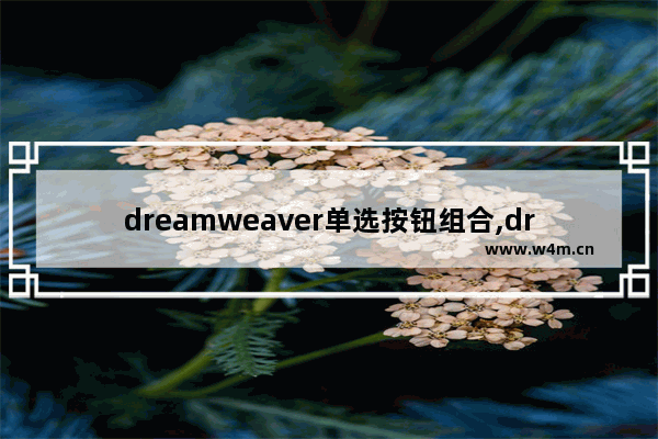 dreamweaver单选按钮组合,dreamweaver设置按钮