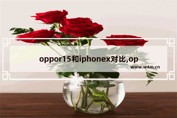 oppor15和iphonex对比,oppor15和iphonexr对比