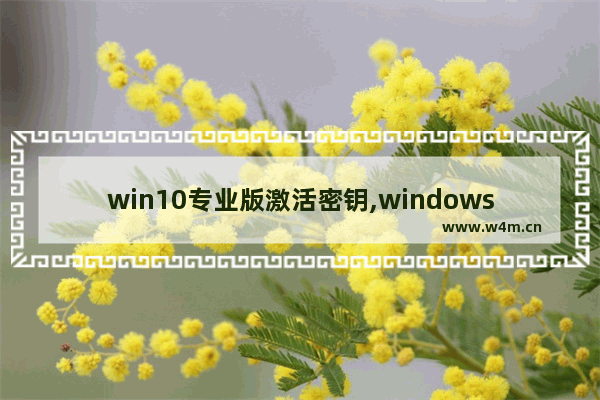 win10专业版激活密钥,windows10专业版密钥最新