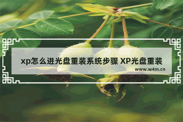 xp怎么进光盘重装系统步骤 XP光盘重装系统：详细步骤