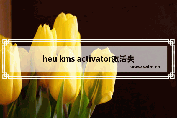 heu kms activator激活失败,heu kms win10激活工具