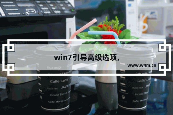 win7引导高级选项,