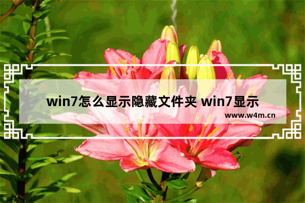 win7怎么显示隐藏文件夹 win7显示文件夹的方法