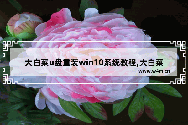 大白菜u盘重装win10系统教程,大白菜u盘装windows10系统教程