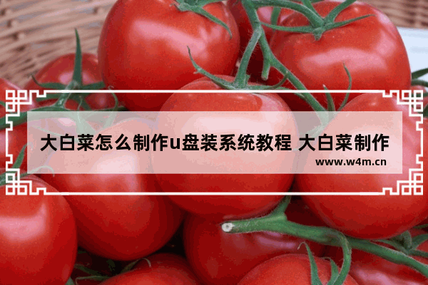 大白菜怎么制作u盘装系统教程 大白菜制作u盘装系统 - 教程